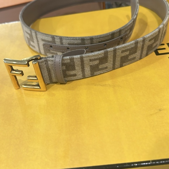 Fendi Brown and Gold women Belt Bag - Picture 15 of 17